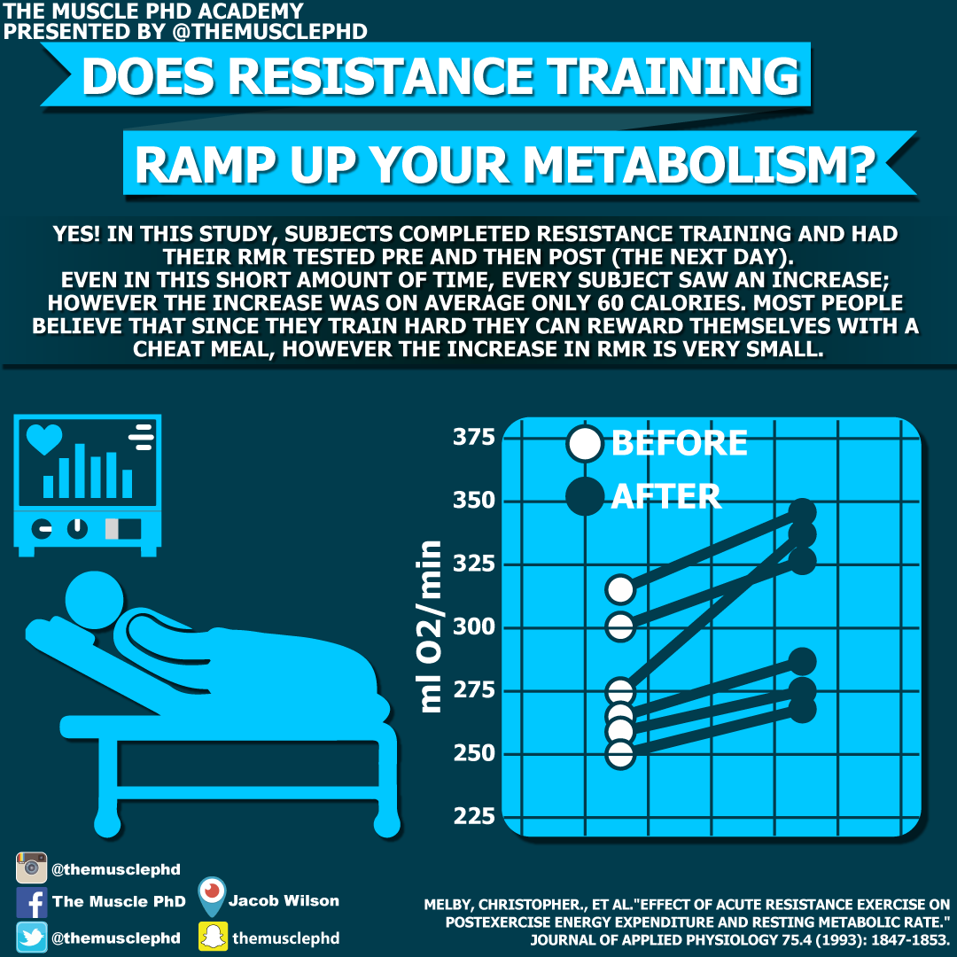 Infographics The Muscle PhD