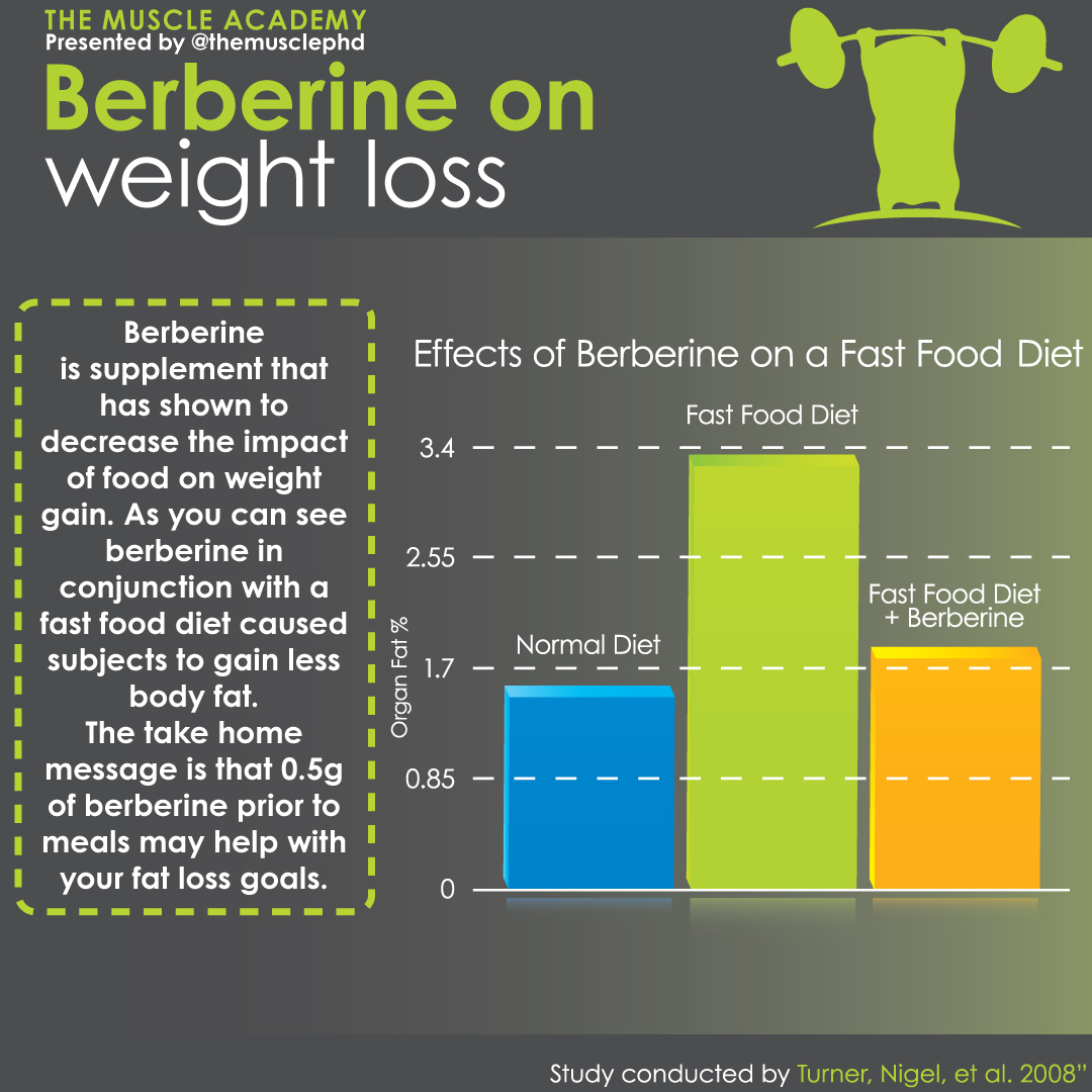 Infographics The Muscle PhD