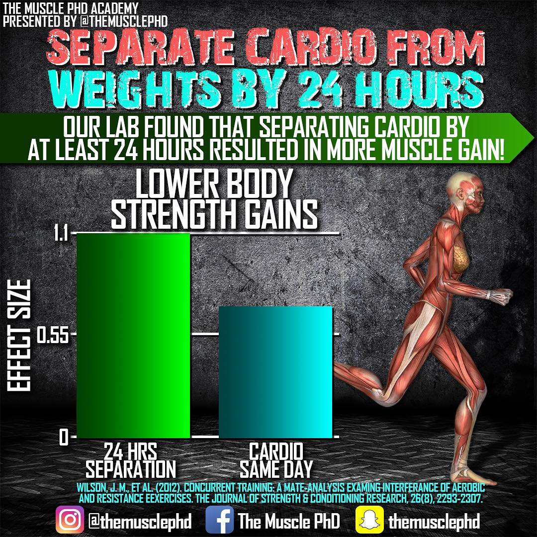 Infographics The Muscle PhD