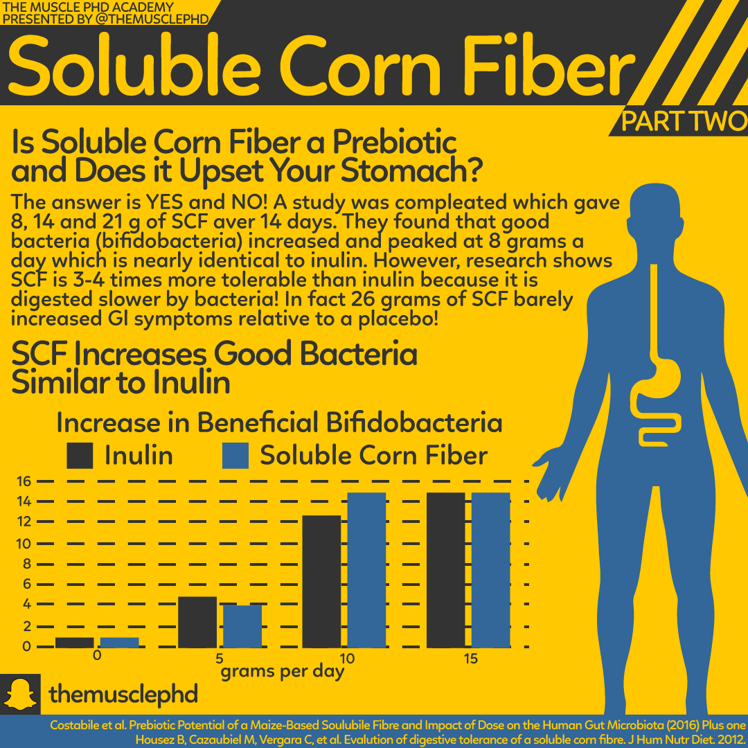 Infographics The Muscle PhD