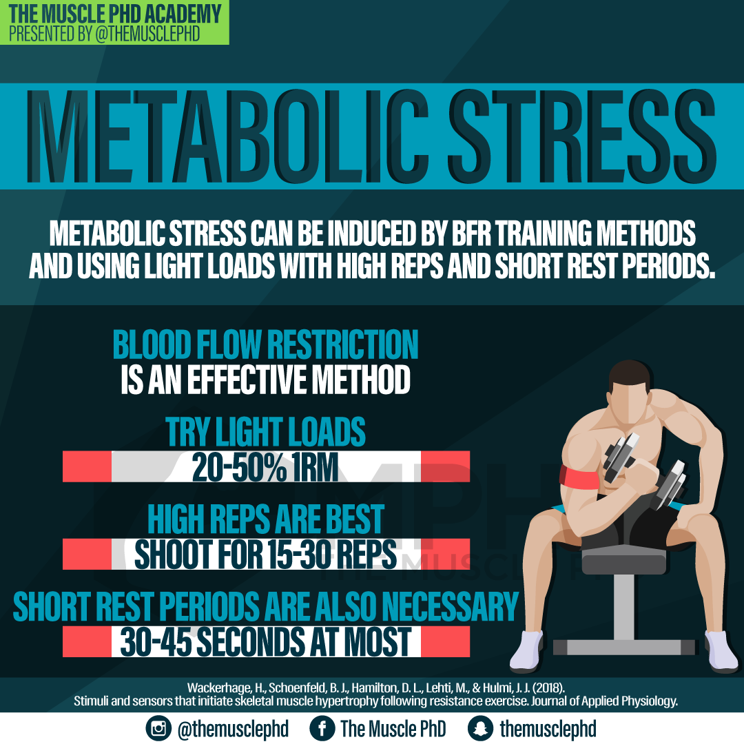 Metabolic Stress Archives The Muscle PhD