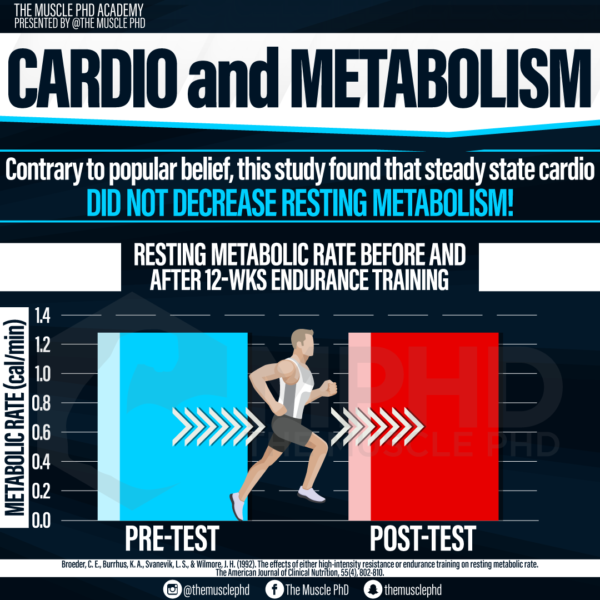 Resistance Training and Metabolism The Muscle PhD