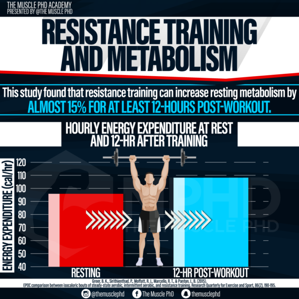 Cardio and Metabolism The Muscle PhD