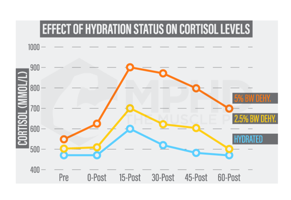 Hydration and performance