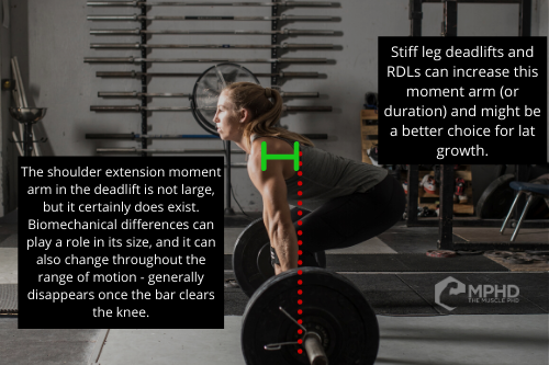 Are Deadlifts For Back or For Legs? Muscle Activation Explained