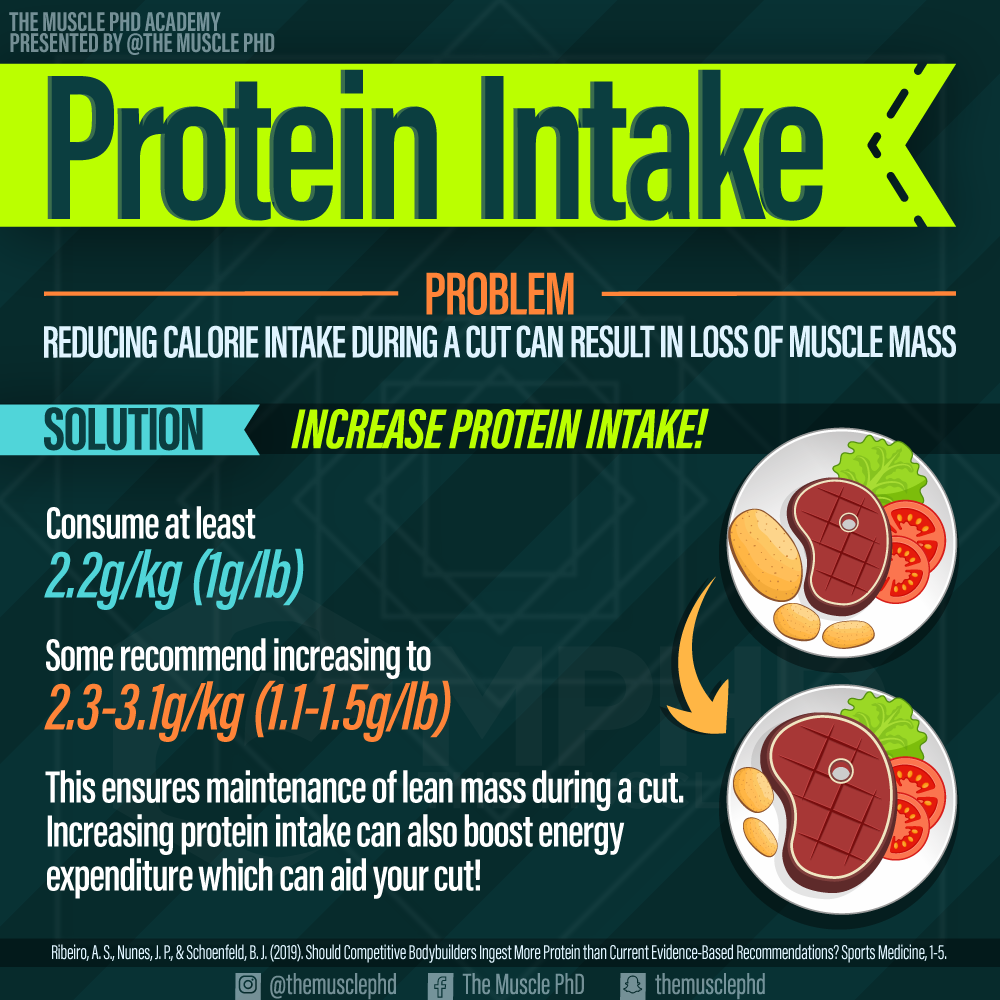 Protein Intake For Cutting The Muscle Phd