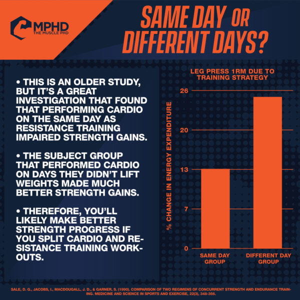Adductors Vs Hamstrings In The Squat The Muscle Phd