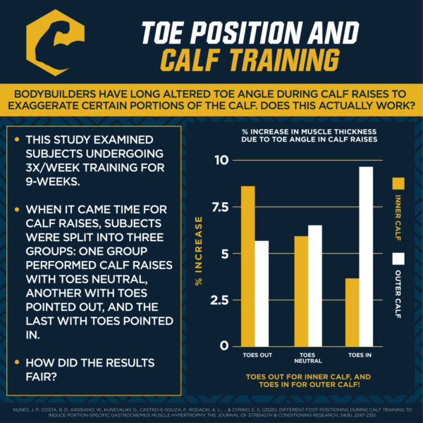 Adductors Vs Hamstrings In The Squat The Muscle Phd