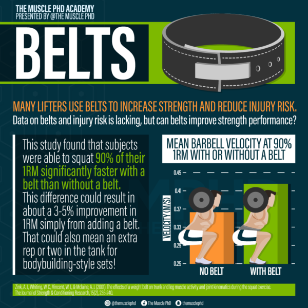 Adductors Vs Hamstrings In The Squat The Muscle Phd