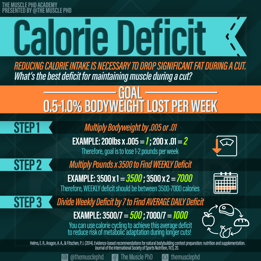 Calories For Bulking The Muscle PhD