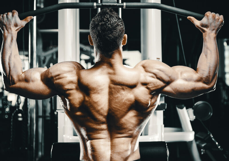 Bodybuilder showing upper and lower lats